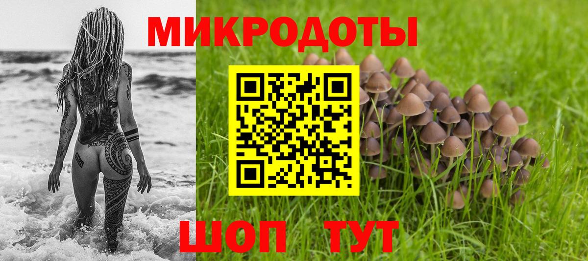 Галлюциногенные грибы MAGIC MUSHROOMS Гудермес