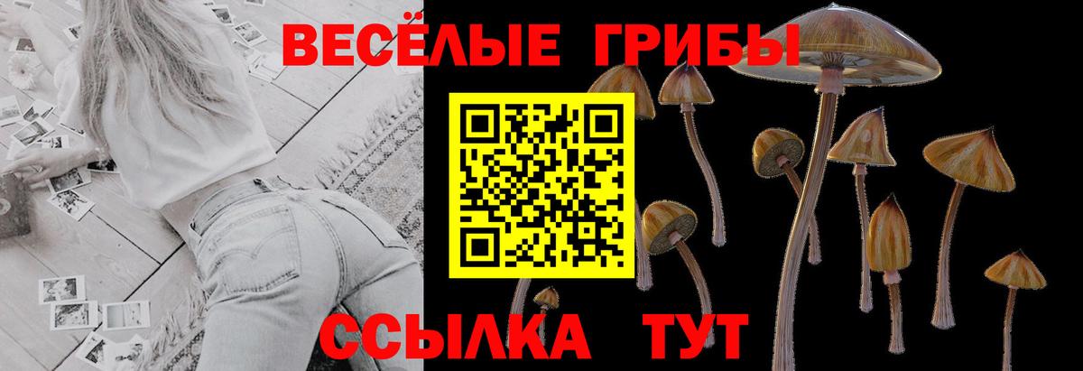 Галлюциногенные грибы Cubensis  Вход с VPN  Гудермес 